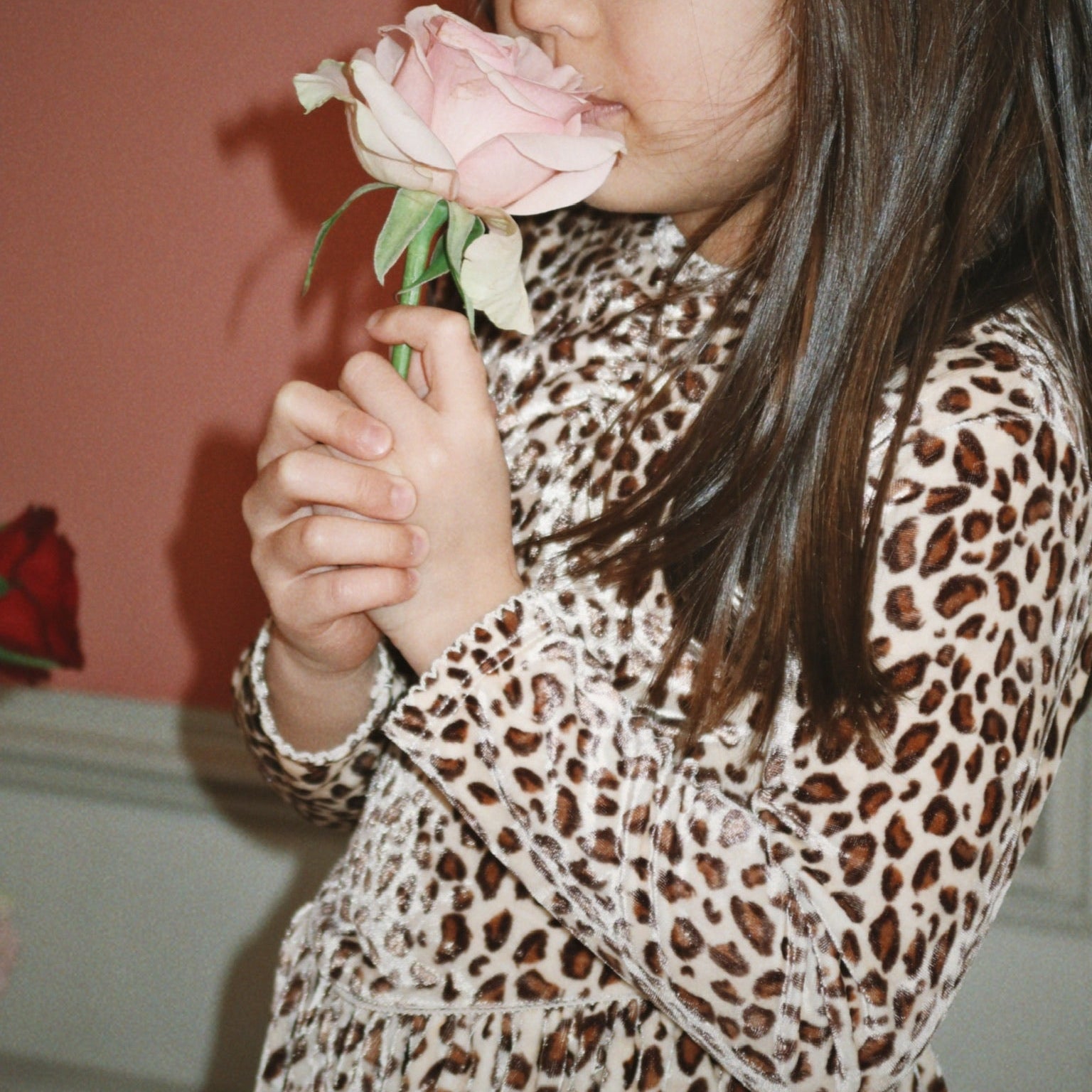 Carlito Leopard Print Velvet Dress